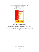 Các vấn đề gian lận và phương pháp kiểm định melamine trong sữa 