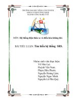 BÀI TIỂU LUẬN: Tìm hiểu hệ thống  SRS
