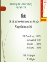 Đặc tính sinh hóa và môi trường màu phát hiện campylobacter chiu nhiệt 