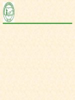 Khóa luận tốt nghiệp đại học đề tài giải pháp giảm nghèo bền vững cho hộ nông dân trên địa bàn xã văn yên huyện đại từ tỉnh thái nguyên