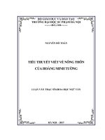 Tiểu thuyết viết về nông thôn của hoàng minh tường 