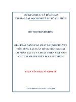 Giải pháp nâng cao chất lượng cho vay tiêu dùng tại ngân hàng TMCP đầu tư và phát triển việt nam các chi nhánh trên địa bàn TP  HCM 