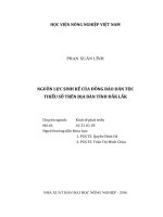 nguồn lực sinh kế của đồng bào dân tộc   thiểu số trên địa bàn tỉnh đắk lắk 