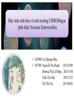 Đặc tính sinh hóa và môi trường CHROMagar phát hiện yersinia enterocolitia
