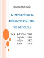 đặc tính sinh hóa và môi trường chromagar phát hiện stec (shiga  toxin producing e  coli)  