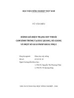 đánh giá hiện trạng suy thoái  cam sành  trồng tại b ắc quang, hà giang  và một số giải pháp khắc phục 