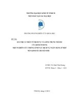 GIÁ TRỊ CÁ NHÂN TỪ DỊCH VỤ VÀ LÒNG TRUNG THÀNH  CỦA KHÁCH HÀNG MỘT NGHIÊN CỨU TRONG LĨNH VỰC DỊCH VỤ NGÂN HÀNG Ở MỘT NỀN KINH TẾ CHUYỂN ĐỔI