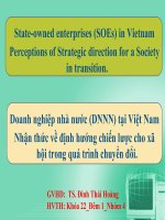 Doanh nghiệp nhà nước (DNNN) tại Việt Nam Nhận thức về định hướng chiến lược cho xã hội trong quá trình chuyển đổi.