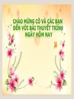 Phân tích mẫu QC KIDO  Cảm ơn mẹ, người phụ nữ của năm”