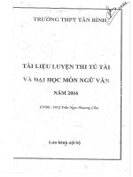 Tài liệu luyện thi Tú Tài và Đại Học môn Ngữ Văn