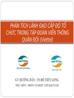 PHÂN TÍCH LÃNH ĐẠO CẤP ĐỘ TỔ CHỨC TRONG TẬP ĐOÀN VIỄN THÔNG QUÂN ĐỘI (Viettel)