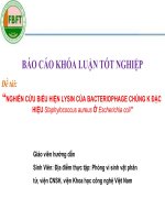 khóa luận tốt nghiệp NGHIÊN cứu BIỂU HIỆN LYSIN của BACTERIOPHAGE CHỦNG k đặc HIỆU