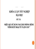 khóa luận tốt nghiệp đại học HIỆU QUẢ sử DỤNG VACCINE PHÒNG BỆNH VIÊM RUỘT HOẠI tử ở lợn CON
