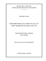 RỦI RO BIẾN ĐỘNG GIÁ VÀ HIỆU ỨNG LÂY LAN TRÊN THỊ TRƯỜNG XĂNG DẦU VIỆT NAM (tt)