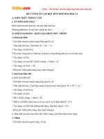 Đề cương ôn tập học kì 2 môn Hóa học lớp 12