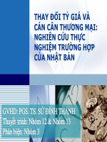 THAY ĐỔI TỶ GIÁ VÀ CÁN CÂN THƯƠNG MẠI: NGHIÊN CỨU THỰC NGHIỆM TRƯỜNG HỢP CỦA NHẬT BẢN