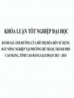 ĐÁNH GIÁ ẢNH HƯỞNG của đô THỊ hóa đến sử DỤNG đất NÔNG NGHIỆP tại PHƯỜNG đề THÁM, TP cao bằng