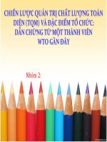 CHIẾN LƯỢC QUẢN TRỊ CHẤT LƯỢNG TOÀN DIỆN (TQM) VÀ ĐẶC ĐIỂM TỔ CHỨC: DẪN CHỨNG TỪ MỘT THÀNH VIÊN WTO GẦN ĐÂY