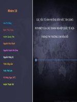 CÁC YẾU TỐ ẢNH HƯỞNG ĐẾN VIỆC TẬN DỤNG INTERNET CỦA CÁC DOANH NGHIỆP QUỐC TẾ HÓA  TRONG THỊ TRƯỜNG CHUYỂN ĐỔI