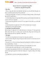 Đề cương ôn tập học kì 2 môn Địa lý lớp 12 