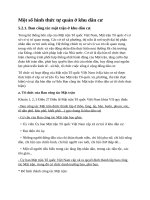 Một số hình thức tự quản ở khu dân cư. lãnh đạo quản lí cấp cơ sở