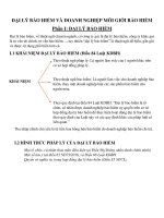 Luật Kinh Doanh Bảo Hiểm Phần Đại Lý Bảo Hiểm Và Doanh Nghiệp Môi Giới Bảo Hiểm