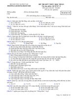 Đề thi học kì 2 môn Lịch sử lớp 12 trường Cao đẳng Bách Việt 