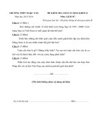Đề thi thử THPT Quốc gia môn Lịch sử năm 2016 trường THPT Ngọc Tảo, Hà Nội 