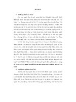 Khảo sát điền dã văn học người hoa ở thành phố hồ chí minh