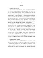 Khảo sát điền dã văn học người hoa ở thành phố hồ chí minh