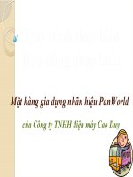 Quy trình thực hiện hợp đồng nhập khẩu mặt hàng gia dụng nhãn hiệu pan world của công ty TNHH điện máy cao duy