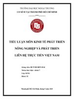 nông nghiêp và phát triển liên hệ thực tiễn ở việt nam 