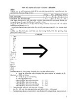 Bài tập tự luận Sinh thái học 