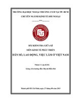 dân số , lao động, việc làm ở việt nam 