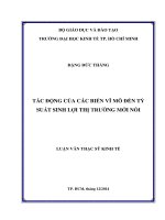 Tác động của các biến vĩ mô đến tỷ suất sinh lợi thị trường mới nổi 
