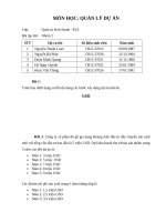 Bài tập lớn môn quản lý dự án