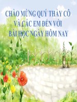bai 27 cac yeu to anh huong den sinh truong cua vi sinh vat