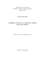 Nghiệm cơ bản của phương trình đạo hàm riêng