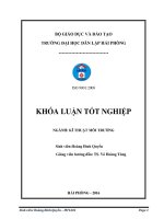 Nghiên cứu ảnh hưởng của sóng siêu âm đến quá trình hấp phụ mangan của vật liệu lọc 