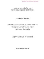Giải pháp nâng cao chất lượng dịch vụ tín dụng tại ngân hàng TMCP việt nam tín nghĩa  