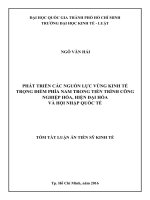 Phát triển các nguồn lực vùng kinh tế trọng điểm phía nam trong tiến trình công nghiệp hóa, hiện đại hóa và hội nhập quốc tế (tóm tắt) 