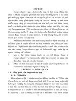 Nghiên cứu đặc tính kháng thuốc và mối liên hệ di truyền của các chủng campylobacter spp , salmonella spp  phân lập từ người và động vật (tóm tắt) 