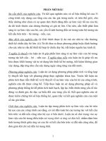 Phân tích sự làm việc của bè móng trên hệ cọc  (tóm tắt) 