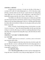 Tìm hiểu về quá trình tăng trưởng và tích lũy dầu ở củ cỏ gấu cyperus esculentus l  (tóm tắt) 