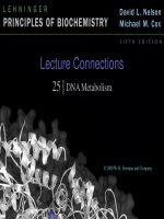 Lecture Connections 25 | DNA Metabolism