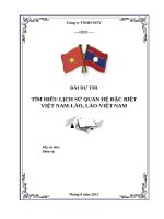 Lịch sử mối quan hệ đặc biệt việt nam lào