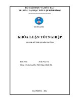Thiết kế hệ thống xử lý nước thải trong trang trại chăn nuôi lợn công suất 300m3ngày đêm 