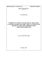 Nghiên cứu phân lập, bảo quản, hoạt hóa và đánh giá hiệu quả điều trị của tế bào gốc mô mỡ tự thân đối với bệnh nhân thoái hoá khớp gối