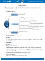 Nghị luận xã hội bàn về lòng khoan dung trong cuộc sống