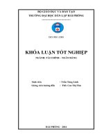 Một số giải pháp nâng cao khả năng phát triển hoạt động cho vay tại ngân hàng thương mại cổ phần việt nam thương tín – chi nhánh hải phòng 